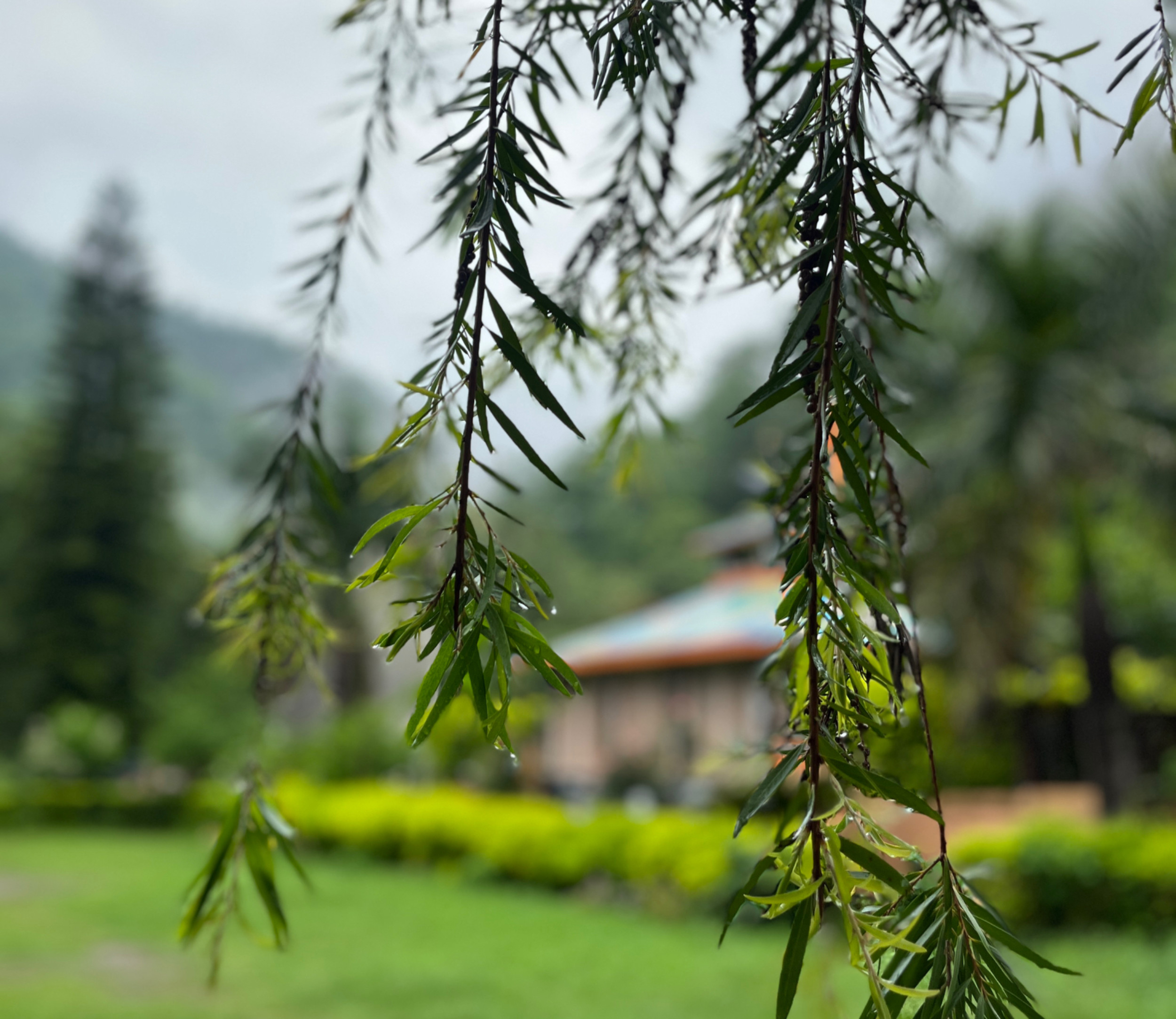 Abhyasa Yogmath, Rishikesh